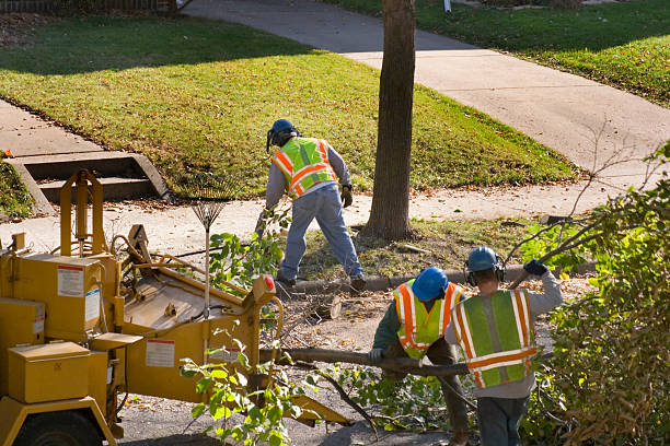 Best Lawn Irrigation Installation and Maintenance  in Gunbarrel, CO